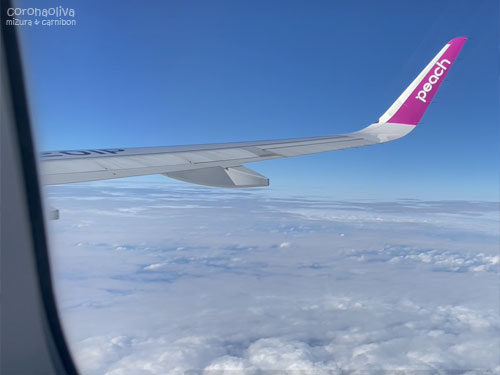 那覇空港のお写真を撮る間もなく機上の小人