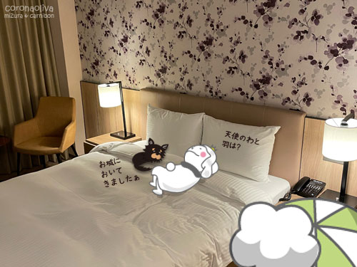 年末価格！3万円超えデラックスルーム