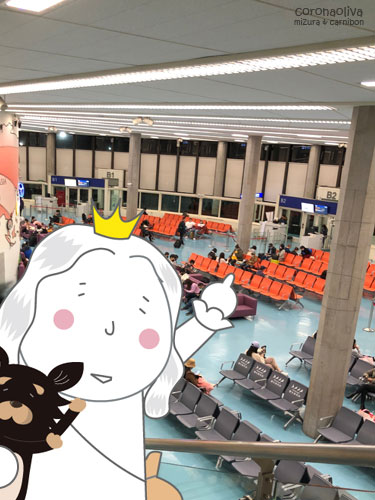 すぐ横が関空直行便だがケチって沖縄経由