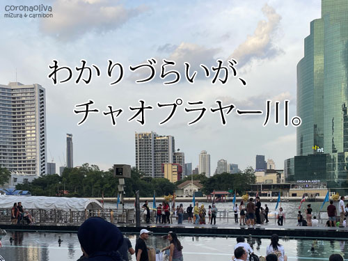 視線を180度パーンするとチャオプラヤー川
