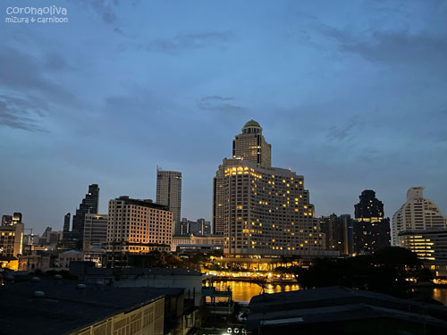 川向うに見えるはハイクラスホテルのシャングリラさま