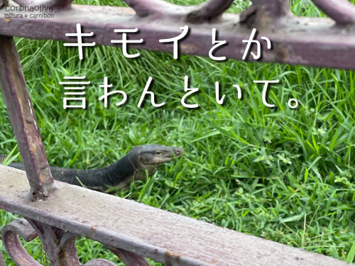 申し訳ないがキモイわ