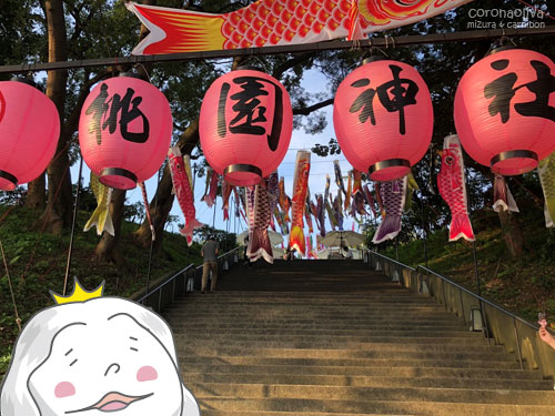 境内に続く石段から無数の鯉たちが