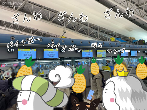 パイナポーの民搭乗率9割のタイガーエア