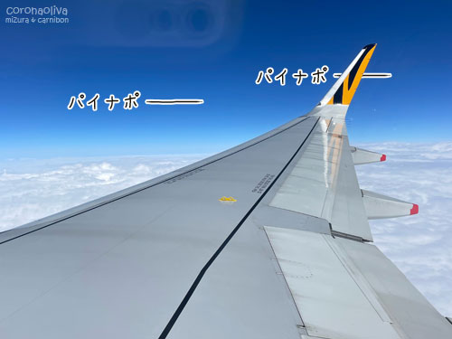 パイナポー島までは約3時間の旅。パイナポーエア加油！