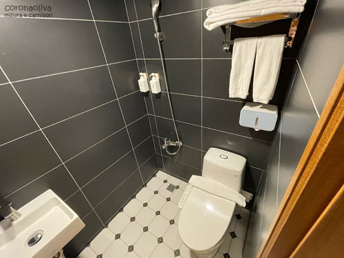 シャワーで便座がビショビショになるスタイル