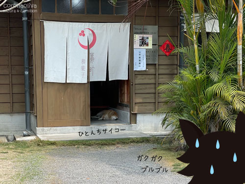 甘味処で寝るリバティー犬