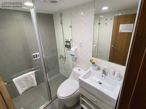 シャワーブースありだがウォシュレットはなし