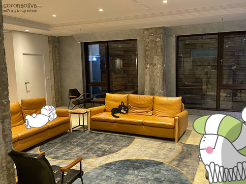 節約旅でこんな立派なソファーにまず出逢わん