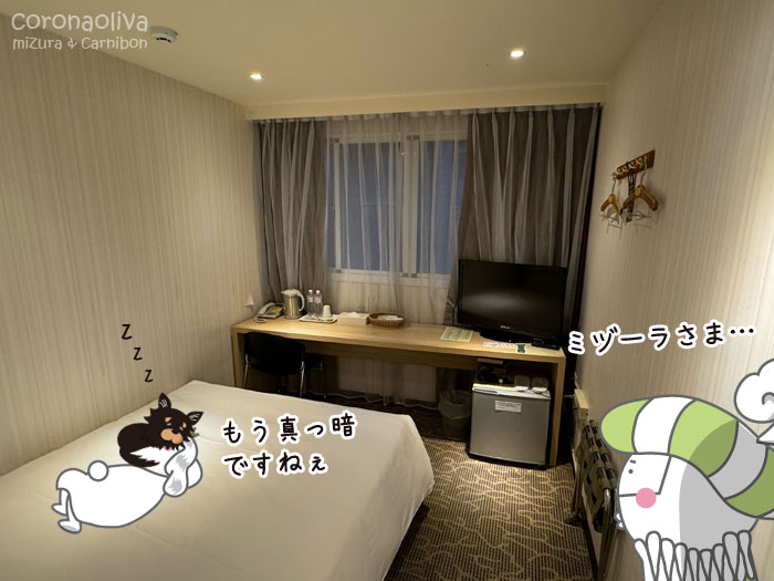 写真だとキレイに見えるがなんせボロい