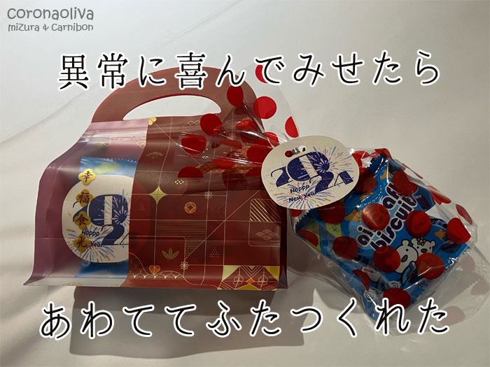 レセプションでもらった新年快楽セットを気休めとしよう