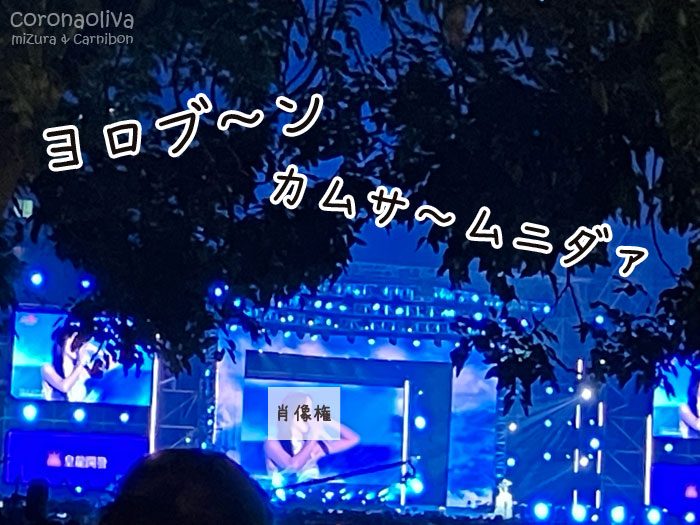 有名なK-POPの方でしょうかね