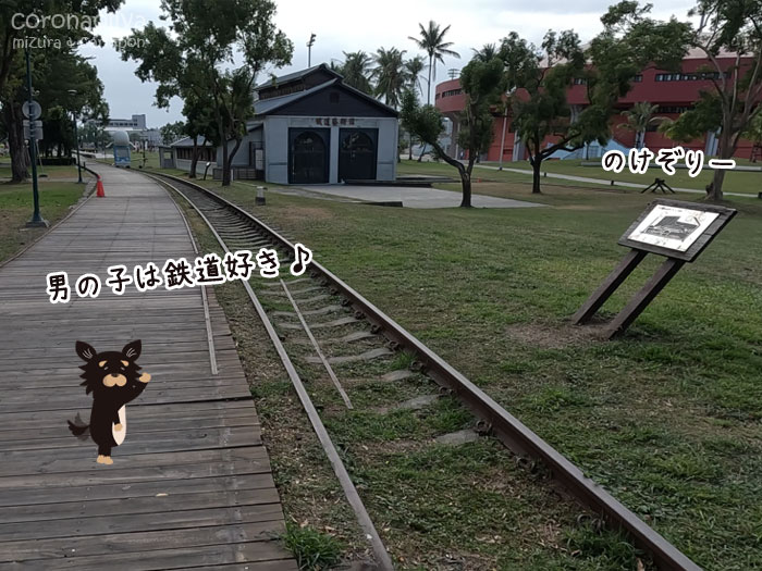 ようわからんが線路が残されとります