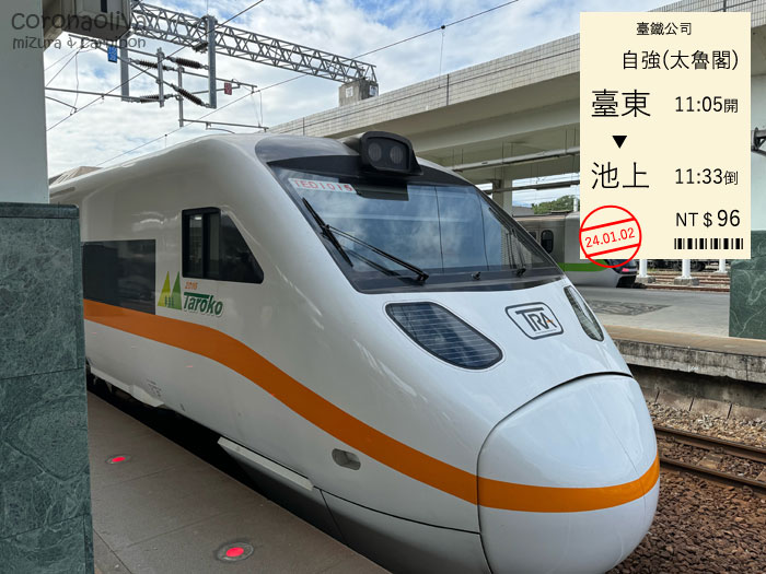 新しめだが新自強号ほどのスタイリッシュさはない