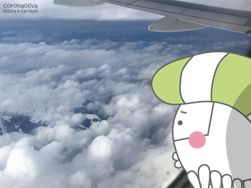特に悪天候とも感じられませんが・・・