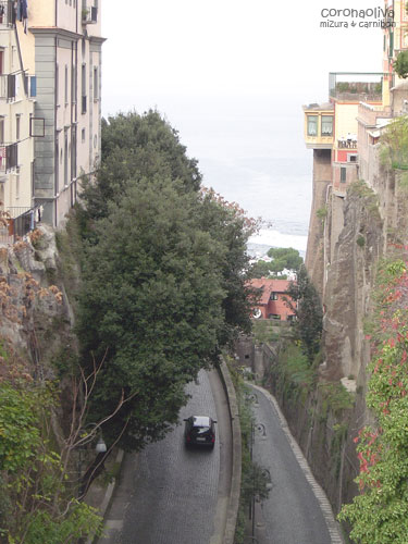 もっと他に写すものもあったろうに的なお写真