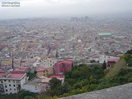 丘からの眺め。霞の向こうに高層ビル群も見えますぞ