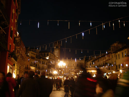 ナターレ時期限定？流れ星に見立てた電飾でございますぅ（実際はもっと幻想的でございますよ）