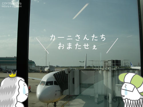 シャルル・ド・ゴール空港にて後続便に乗り込める幸運を噛み締めいざ搭乗!