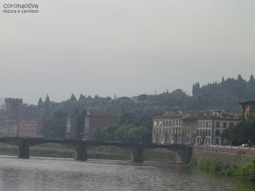 ポンテヴェッキオのお写真がないのでそこらの橋をば
