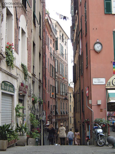 狭くゴチャゴチャしたところがなんともいいですなぁ