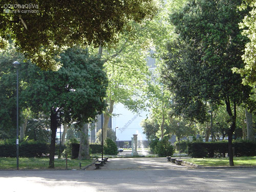 フォトグラファーカーニボンの作品『La Mattina（朝）』