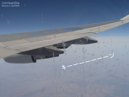 特に珍しくもない翼と霜の付いた窓