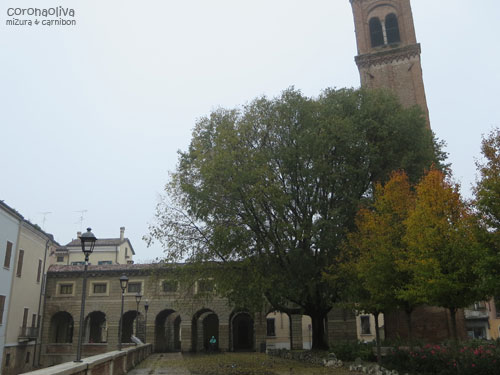 ようわからんけどなんか絵になるわぁ