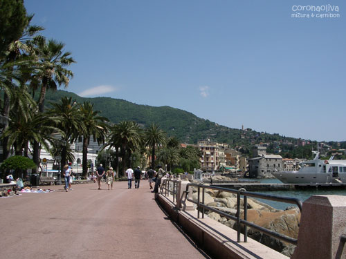 海岸線沿いの遊歩道には旗を持った添乗員に後続するアジア人団体客の姿も