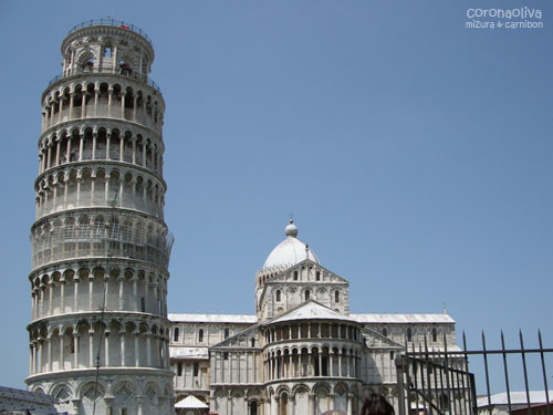 地味なぐにょん加減がちくわに見えてこないでもない