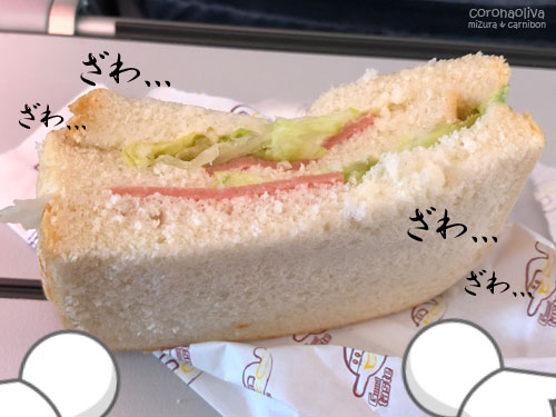 「ミヅーラさま、最後の機内食がパンと水だけとは?!(怒)」「ワ、ワタクシも知りませんよカーニボ~ン(泣)」