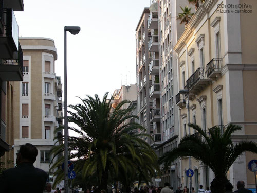 整備されベンチなんぞも配置されてる新市街