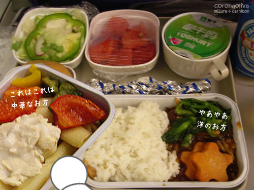 お次はPVG-MXP間のクリームペンネとビーフに相当するもの