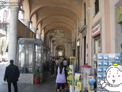 ミヅーラさまは3度の晩酌並みにポルティコ好き