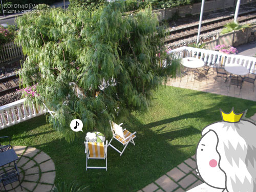 おや、カーニボンはもうお庭でくつろいでいるようですねぇ