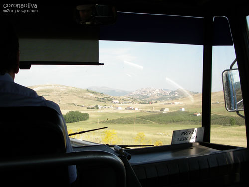 攻めの走りをみせる運ちゃんと前方に広がる牧歌的風景