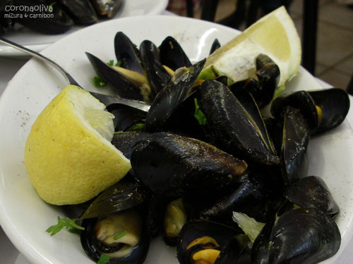 食べても食べても減らなかったコッツェ（ムール貝）