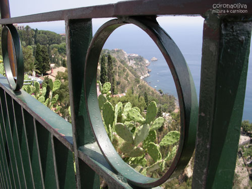 手すりの隙間から覗くサボテンとイオニア海ですよぉ