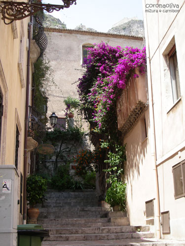 静かな路地も絵になりますなぁ