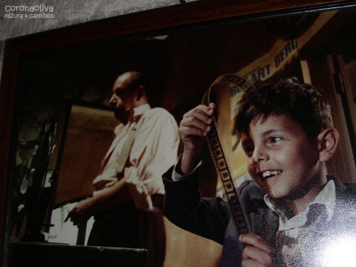 トトの瞳がキラキラしてるのが演技と思えません