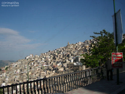 斜面のへばりつき方が尋常じゃない村を超え・・・