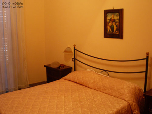 シンプルで清潔な快適寝床ゲット