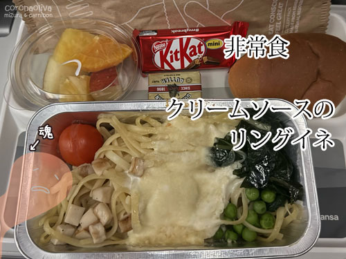 着陸前のミールはフルーツだけついばむ