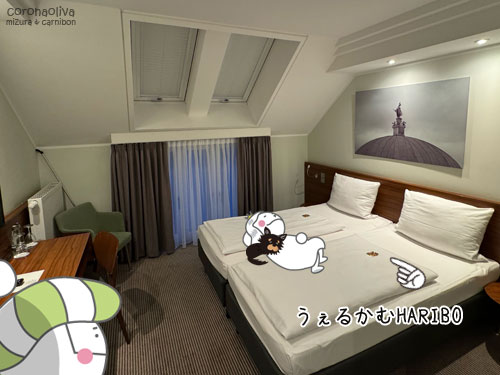 天窓がステキで広さもじゅうぶん!