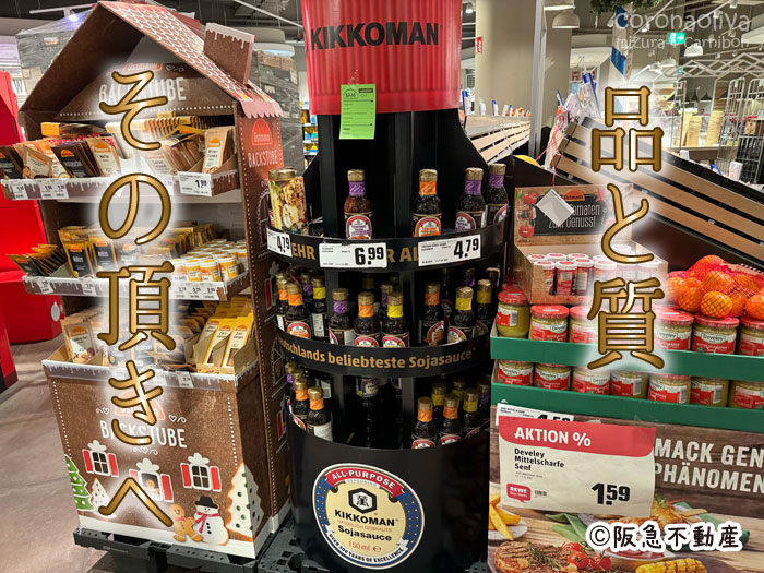 入居倍率100倍キッコーマンション