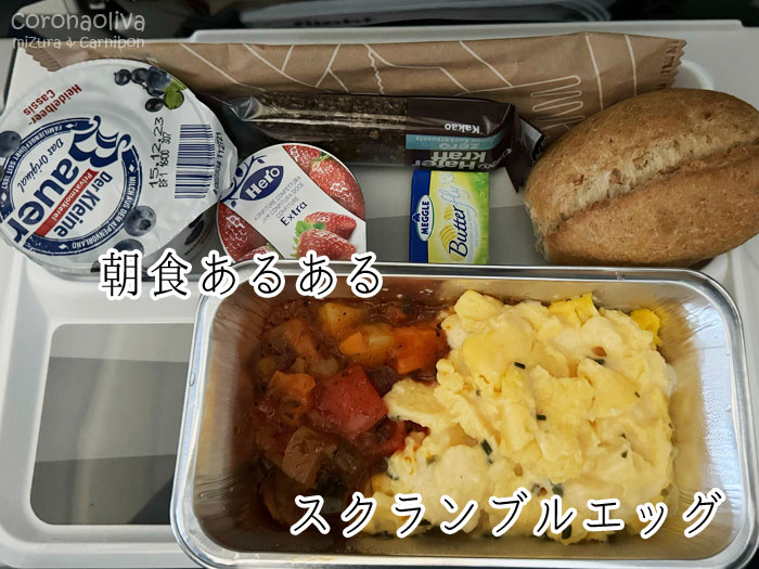 ルフトハンザさまは往復とも紙のメニュー表くれましたわ