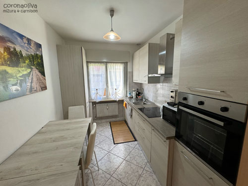 キッチンは宿主と共用のパターン