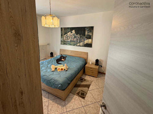 1室が我らのキャンプ地にあてがわれる