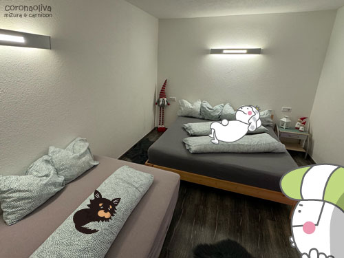 詰め込んだら10ミヅーラはいけそうな寝床