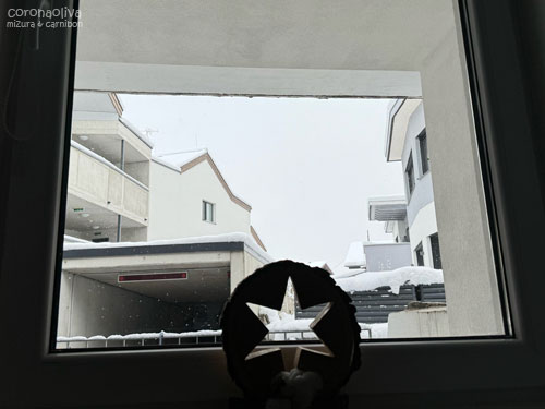 昨夜から降り始めた雪でナターレな雰囲気